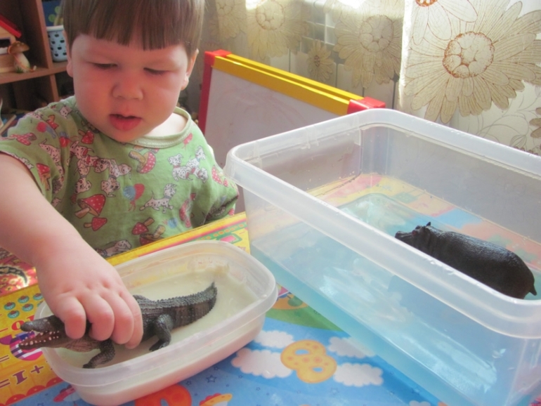 Природные зоны Африки.(Немного сенсорных коробочек)