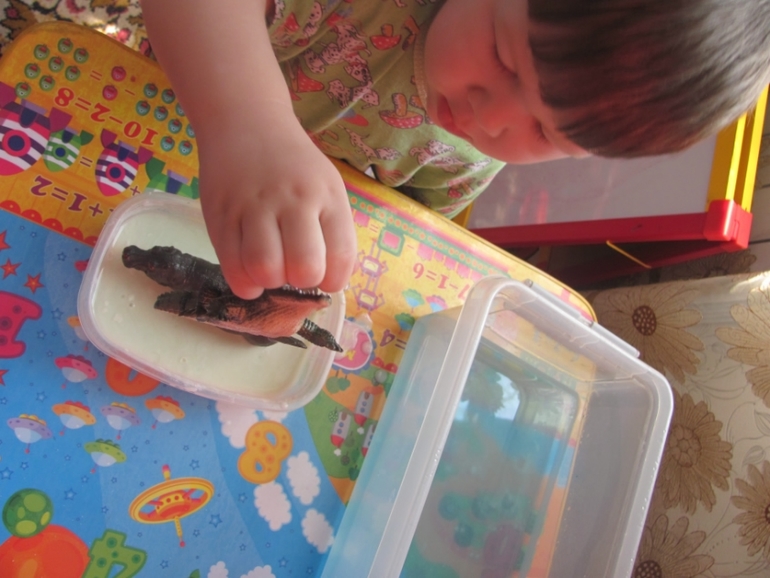 Природные зоны Африки.(Немного сенсорных коробочек)