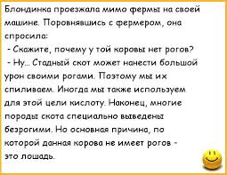 анекдоты
