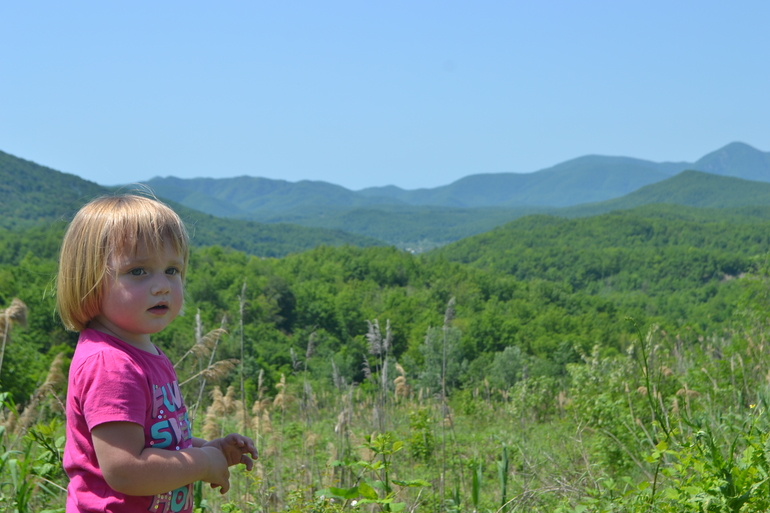 2 года 3 мес.