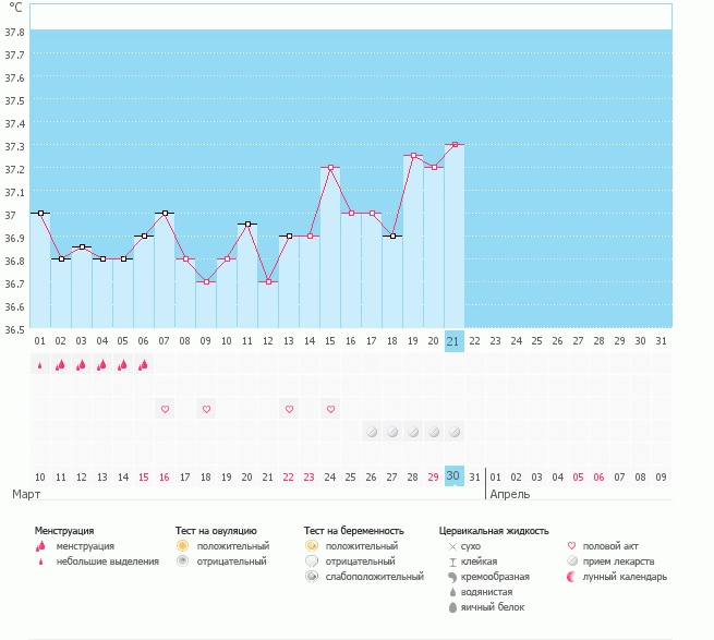 Где овуляция?