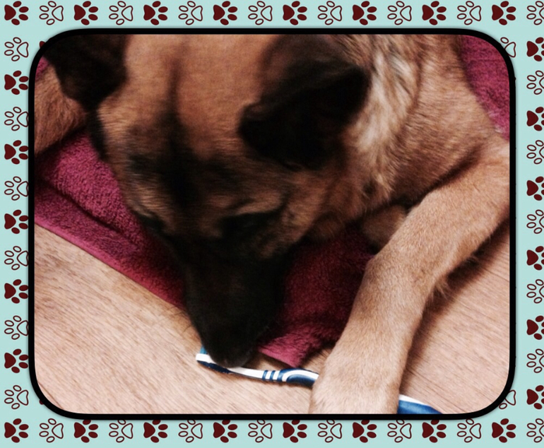 Изобретательная помощница.