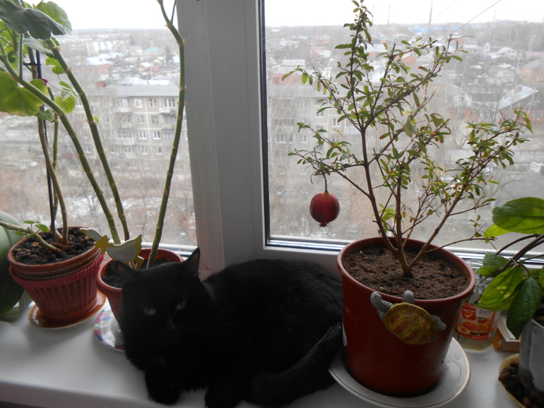 Мои любимые чувствуют весну)))