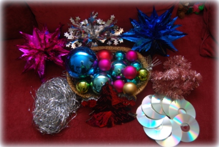 Наша вишня-ёлка