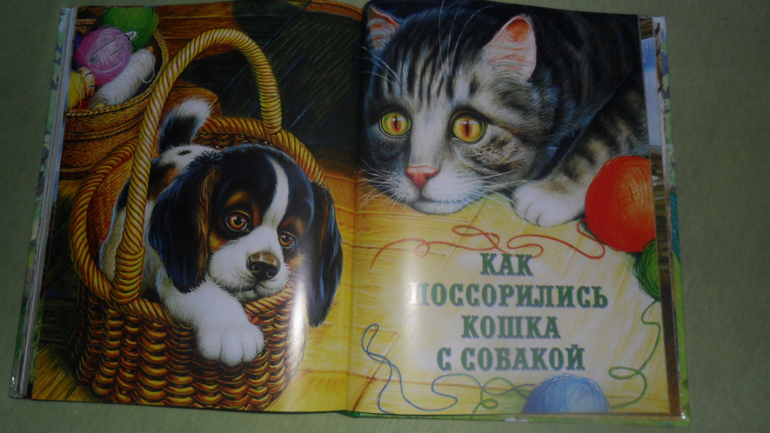 Наше небольшое прибавление!