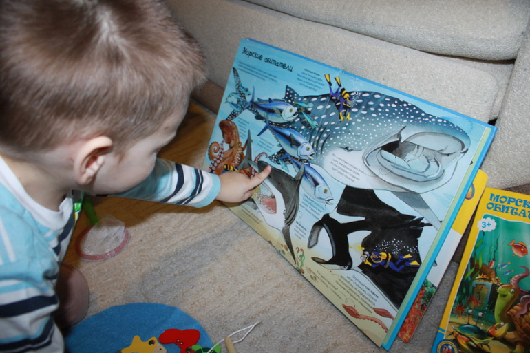 ТН "Море и обитатели" - отчет - день 1