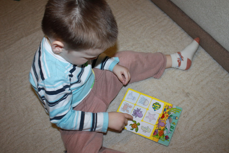 ТН "Море и обитатели" - отчет - день 1