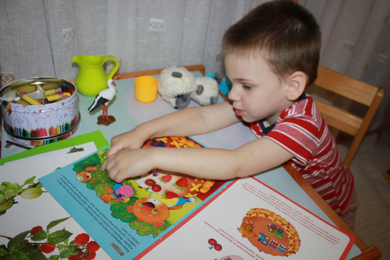 ТН "Ягоды" - отчет. День 3 - малина.