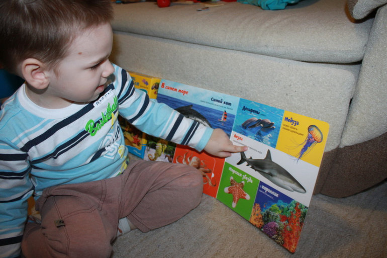 ТН "Море и обитатели" - отчет - день 1