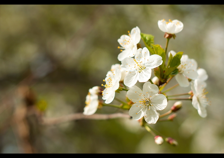 Майские фотопрогулки!