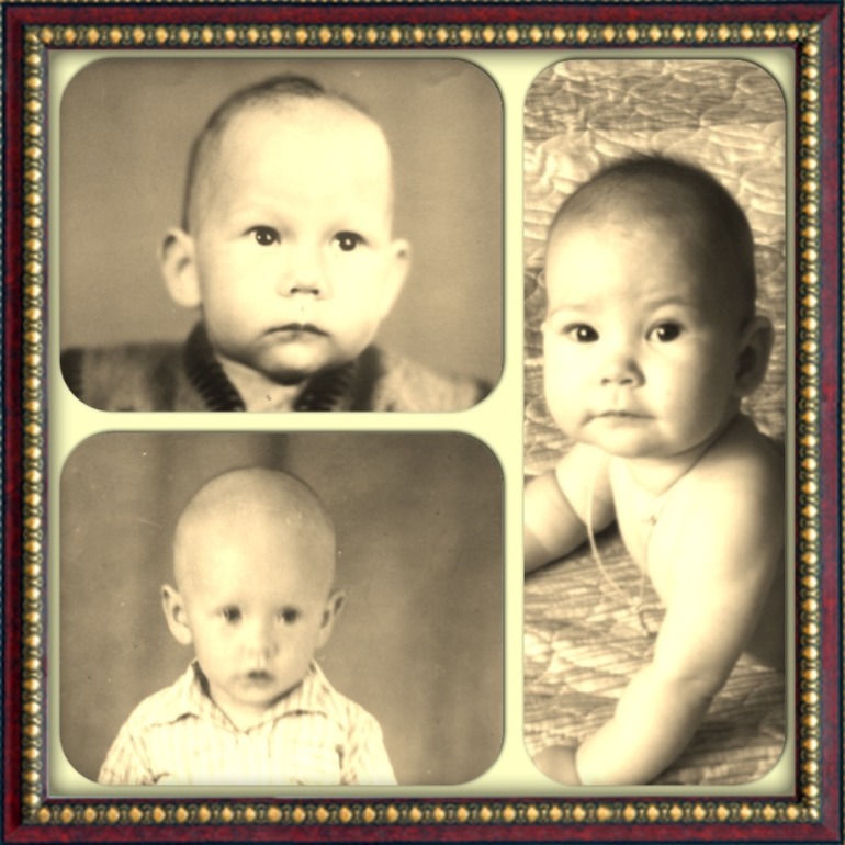 Фотографии