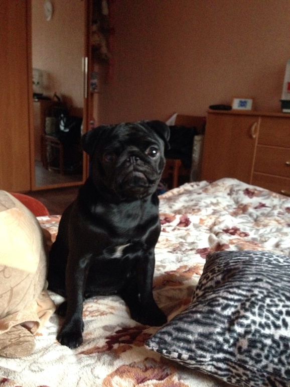 Ешка))) нам 1 год и 3 месяца