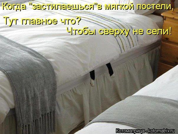 5707880eed05f24bdb1326aee4282c0e.jpg