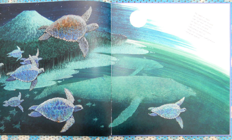 ссылки море