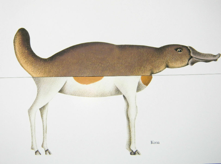 ЖИНЕВОТЫ -мой отзыв о книге...