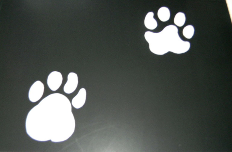 ЖИНЕВОТЫ -мой отзыв о книге...