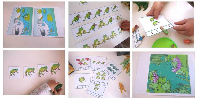 ТЗ История жизни одной лягушки