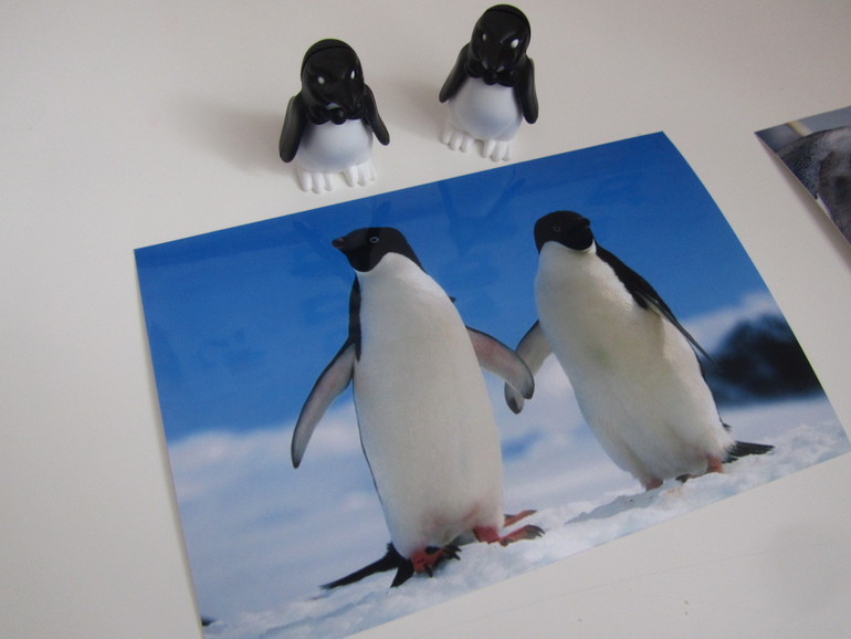 Занятие Пингвины Часть 3 (Где моя мама?)