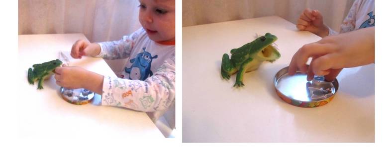 ТЗ История жизни одной лягушки