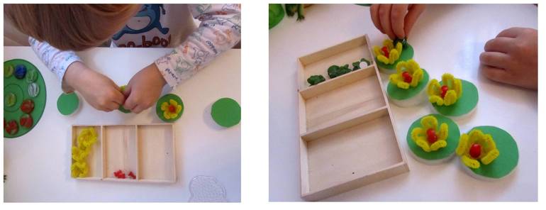 ТЗ История жизни одной лягушки