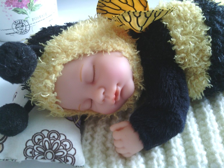 Вот такое чудо поселилось у нас...