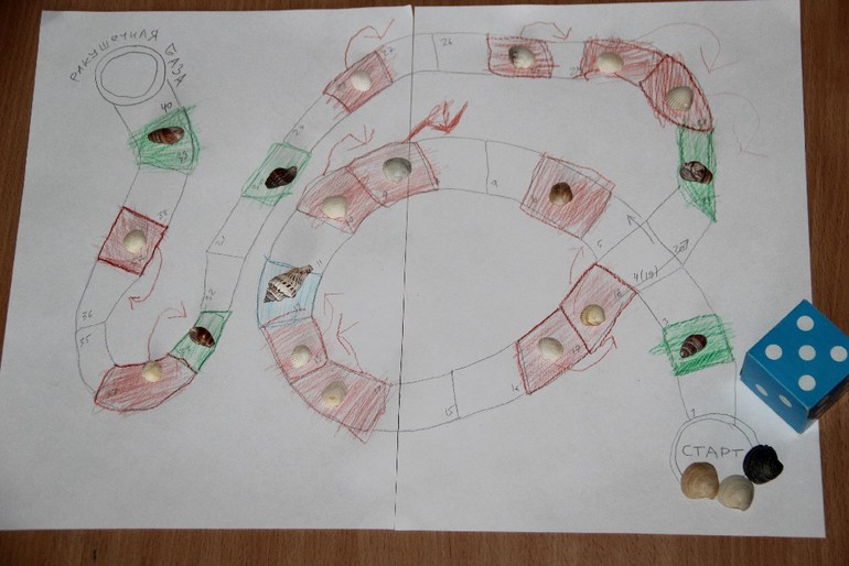 Ракушечная бродилка