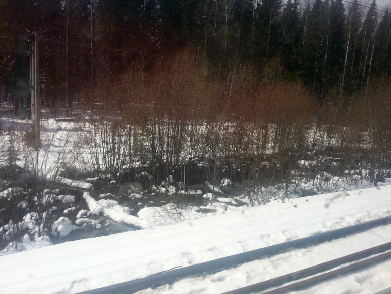 Поездка на Север