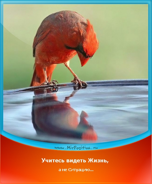 Душа отозвалась на эту фразу....зацепила