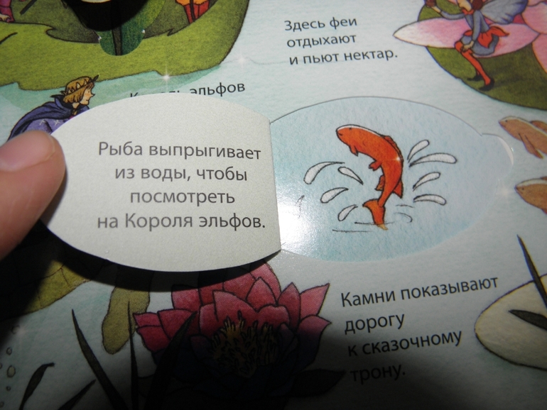 Хотите узнать как живут феи и эльфы!?