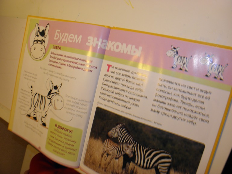 ФМ Африка день 2 и 3 ( саванна и пустыня)