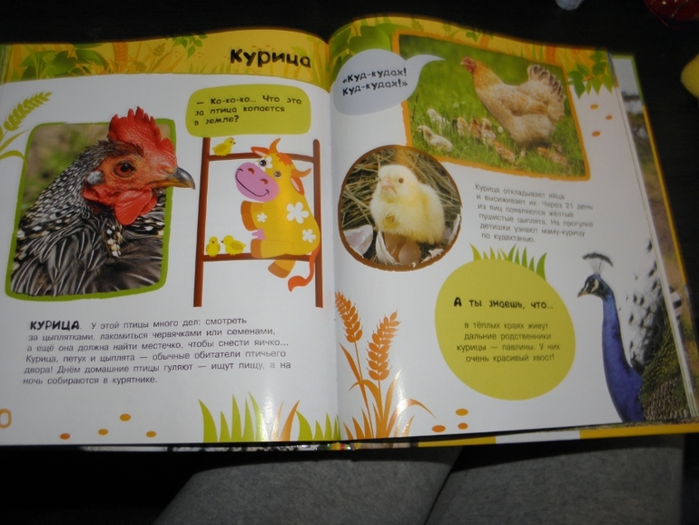 Тематическое занятие Цыпленок!