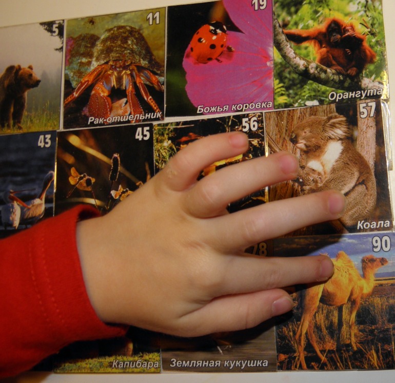 ФМ Африка день 2 и 3 ( саванна и пустыня)