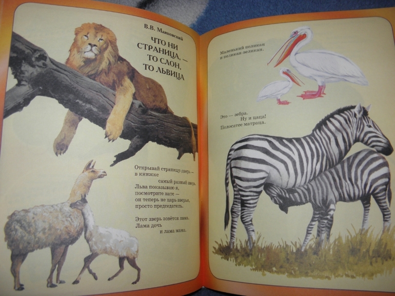 Дневник читателя (февраль)