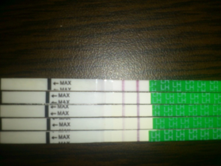 Тесты на овуляцию, ничего не понятно, когда же...