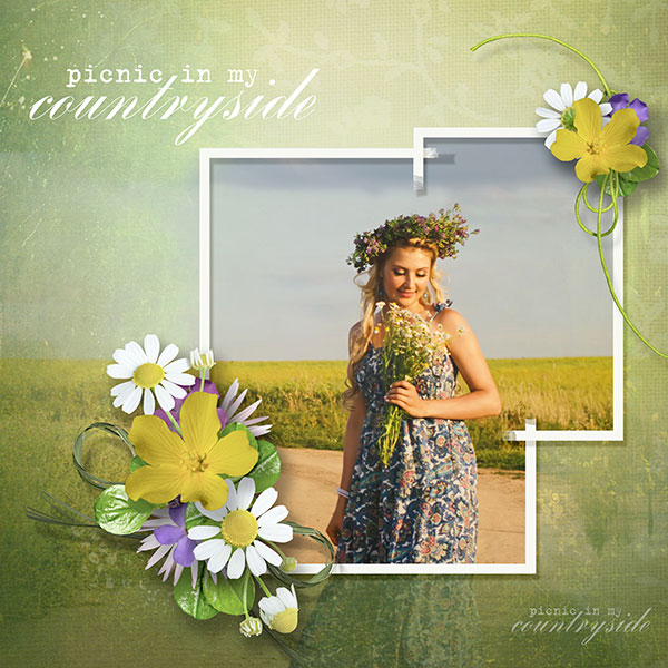 Picnic in my Countryside