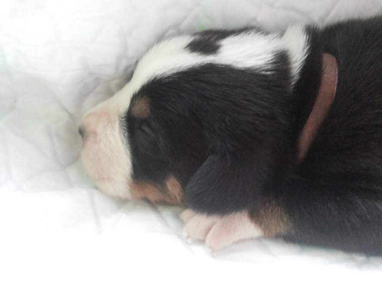 Наши детки подросли...