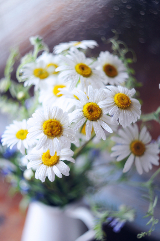 мануальные объективы, первые пробы Helios44-2