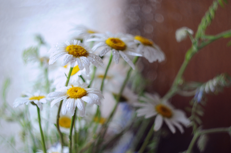 мануальные объективы, первые пробы Helios44-2