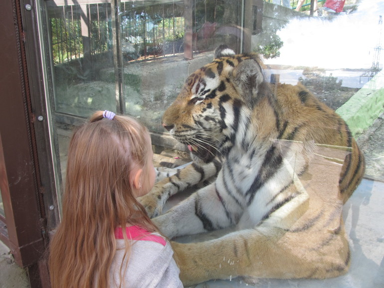 Возвращаюсь