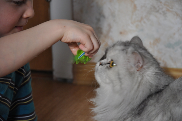 подарок от Феюшки Таси