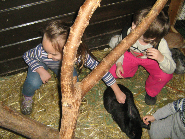 Контактный зоопарк на ВДНХ