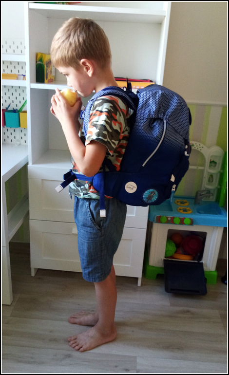 Рюкзак Beckmann 22л отзыв, обзор — 48 ответов | форум Babyblog