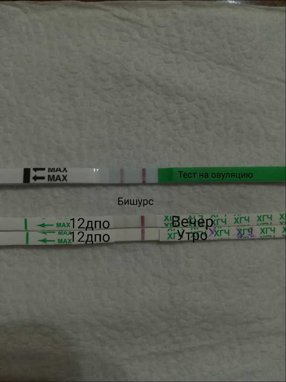 Хгч на 12 день после овуляции. Тест на хгч. Таблица нормы хгч по дням от зачатия. Уровень хгч по дням дпо таблица. Хгч по дпо таблица.