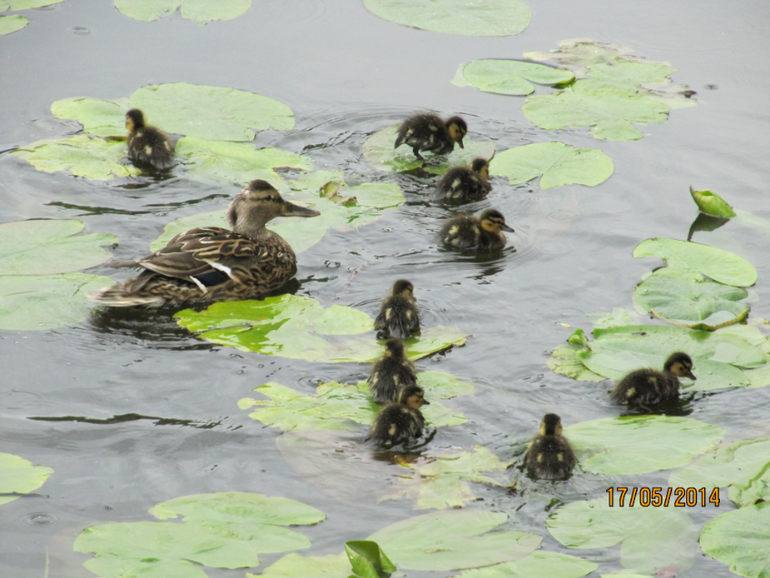 Наши замечательные выходные))