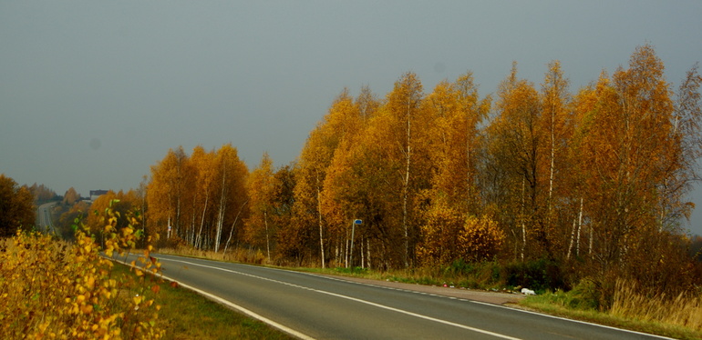 01aa2a600ab6c33c61f7612a053a6656.jpg