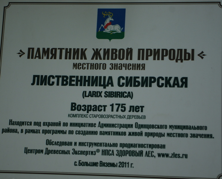Большие Вязёмы 31.01.13