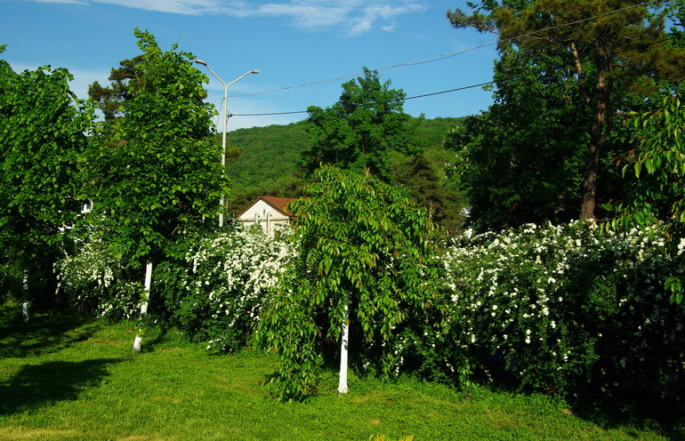 Абрау Дюрсо май 2014