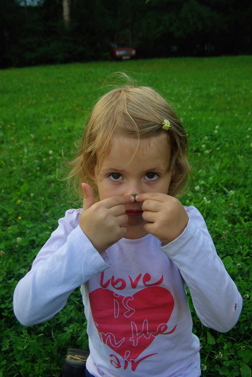 Лето 2013..