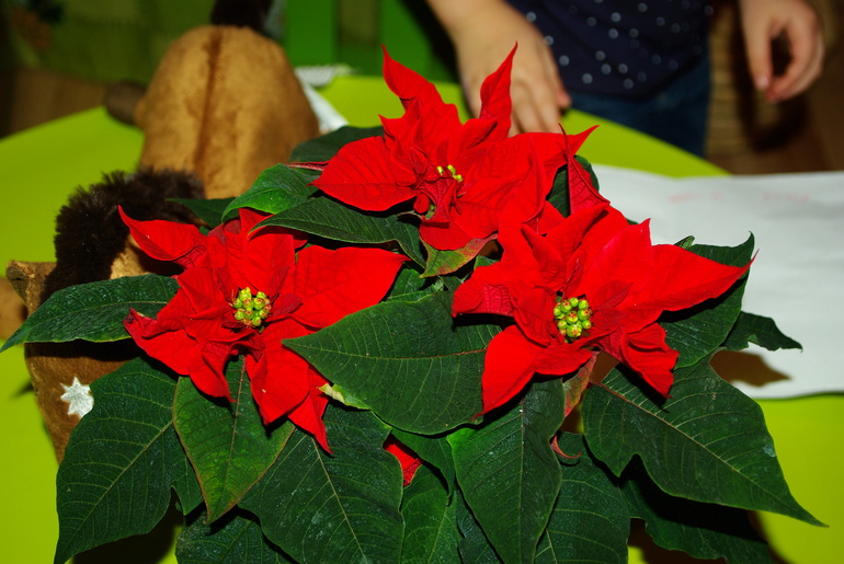 Как же сейчас здорово в магазинах) потихоньку готовимся к новому году)