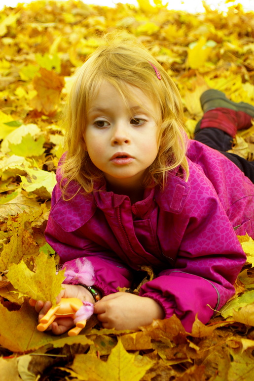 8e8d454566ef16be2caa29e6e72a0180.jpg